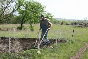 Plowing With Pigs and Other Creative, Low-Budget Homesteading Solutions: Abridged Book Excerpt Image